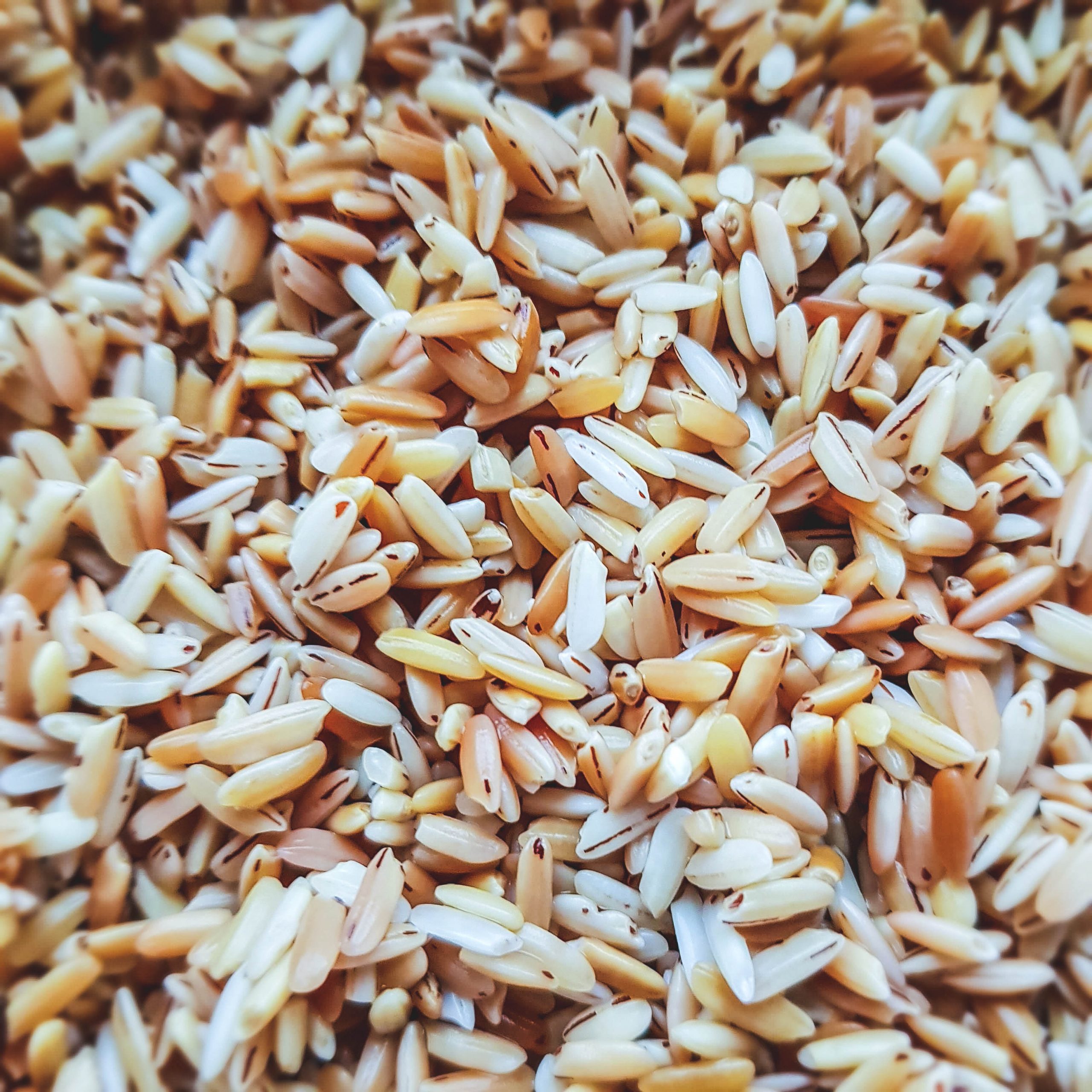 Devzira ryžiai